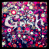 Gush2008-2011