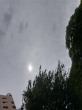 20250529.jpg