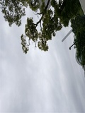 20250605.jpg