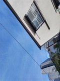 20250821.jpg