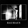 Bauhaus.InTheFlatField.cd.jpg