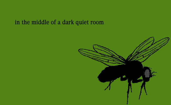 in the middle of a dark quiet room